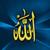 Hazrat_sultan_bahu-400
