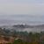 001_coronavirus_ashdown_forest-11