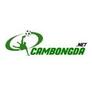 Cambongda