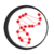 Copy_of_0.logo