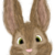 Head