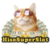 Hisosuperslot