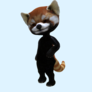 Red_panda_bag_photo_512_for_bom_bag