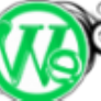 Logo-new-webexcels_(2)
