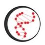 Genesis_diagnostics