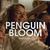 Penguin-bloom-2020-%e0%b9%80%e0%b8%9e%e0%b8%99%e0%b8%81%e0%b8%a7%e0%b8%b4%e0%b8%99-%e0%b8%9a%e0%b8%a5%e0%b8%b9%e0%b8%a12