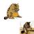 120857422_2745018865780942_13090709514005152_n