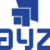 Nayza_logo