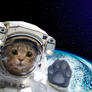 Space_cat_200
