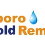 Greensoro-mold-remediation-inc-logo-2048x582