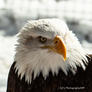 Img_2997-03