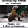 Dragon_du_komodo