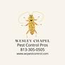 Wesley_chapel_pest_control_pros