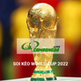 300-soi-keo-world-cup-2022