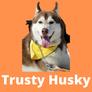 Trusty_husky.jpg550