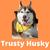 Trusty_husky.jpg550