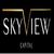 Skyview_capital_lawsuit