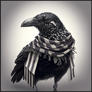 Raven_with_scarf_1