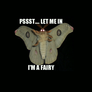 Meme_moth