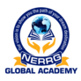 Nerrgglobalacademy