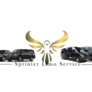 Sprinter_limo_service