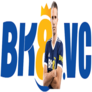 Bk8vc-logo