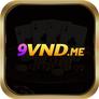 9vndme_image
