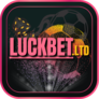 Luckbet.tv_(3)