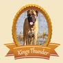 Kings_thunder_puppies_(1)
