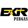 Exirpergaslogo
