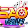 Saowins.com-logo