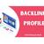 Backlink_profile2