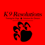 K9_resolutions