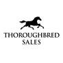 Thoroughbred_sales