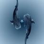 Shark_wallpaper_iphone