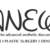 Anew_logo