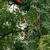 Gallery-046