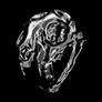 Chromatic_leopard_head_-_close_up